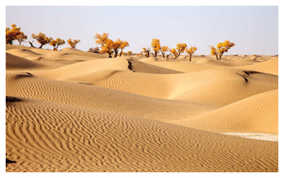 Taklimakan Desert4.jpg