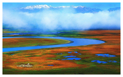 Bayanbulak Grassland 1.jpg